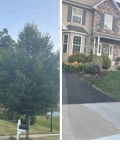 LawnLift 64 ounce Grass Paint factory 2nd with cosmetic blemishes on bottle, seal and label. May include dried paint or other unsightly blemishes on exterior of bottle. 38 51coGG5sq9L