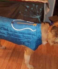 Kurgo Loft Dog Jacket, Reversible Dog Coat, Wear with Harness or Sweater, Water Resistant, Reflective, Winter Coat For Large Dogs (Coastal Blue, XL) Extra Large Coastal Blue/Orange 47 51cqjoxEFNL
