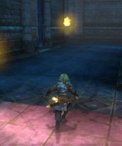 Fire Emblem Echoes: Shadows of Valentia - Nintendo 3DS Standard Edition 18 51dBKNzpr4L