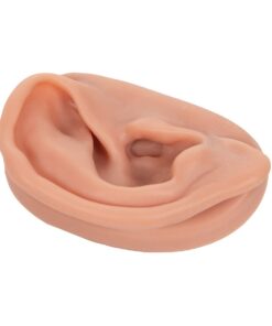 Alternative view of 3B Scientific N15/1R SKINlike Silicone Right Acupuncture Ear Model, 3.7" x 2.4" x 1.6"