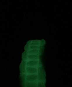 SE Survivor Series 7-Strand 550 Glow-in-the-Dark Paracord, 100' - PC105GGD55 Glow-in-the-dark Green 13 51dGVU8mNdL