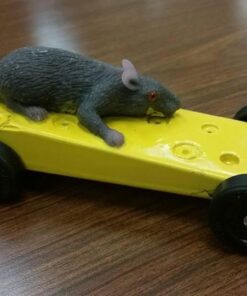 Mouse Lifelike Rubber Gag 20 51dZSgyMntL