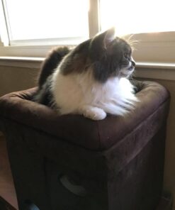 MidWest Homes for Pets 137-BR 'The Original' Curious Cat Cube, Cat House / Cat Condo in Brown Faux Suede & Synthetic Sheepskin Brown Single Story 61 51e3L3nwSOL