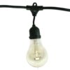 Bulbrite String15/E26-A19KT Outdoor-lightstrings, 48 Foot Black 48 Feet (Black) Nostalgic Edison Bulb 15 51eCdmBFgeL