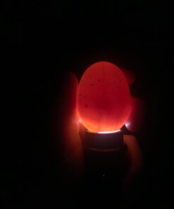 iTavah Egg Incubator, Chicken Incubators for Hatching Eggs with Automatic Egg Turning and Temperature Control, 9-12 Eggs Poultry Hatcher for Chicken Duck Bird 33 51eFZz7IPL