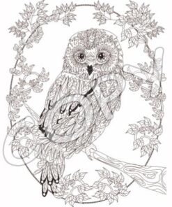 Adult Coloring Books: Whimsical Journey Coloring Books for Adults Relaxation (Flowers, Landscapes and Fairies) 37 51eTkX3Jl0L