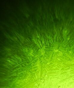 Fairhaven Health Fertile Focus Ovulation Test Kit - Women's Fertility Tracker and Predictor - 3 Days in Advance - Ovulation Kit - Accurate, Reusable Home Saliva Test - Results in Five Minutes 39 51fBd5h5XwL