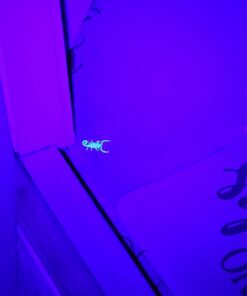 Escolite UV Flashlight Black Light, 51 LED 395 nM Ultraviolet Blacklight Detector for Dog Urine, Pet Stains and Bed Bug 51 UV LED Flashlight 33 51fNxP5AKRL