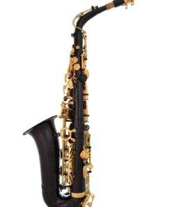 Lazarro Professional Black-Gold Keys Eb E Flat Alto Saxophone Sax, 11 Reeds, Case & Many Extras - 24 COLORS Available - 360-BK BLACK/GOLD Keys 15 51fkuSXhZTL