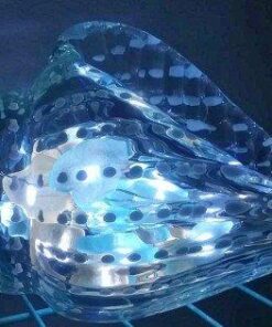 Impress Life Decorative String Lights, Sea Glass Festive Beach Themed 10 ft 40 LEDs Battery&USB Cord Operated Eco-Friendly with Multi-Function Remote for Tent Wedding Nursery Bedroom Party Ornament 37 51fm4X8zL