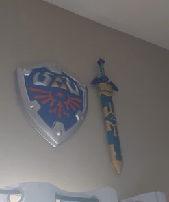 Disguise Link Shield Costume 20 51g3yLsD88L