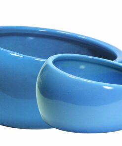 Living World Ergonomic Food Dish, for Small Animals, Blue, Small, 4.22oz, 61682A1 19 51g5XpKRQCL