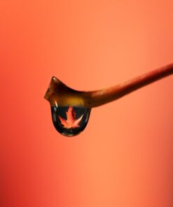 Glycerin Vegetable - 1 Quart (43 oz.) - Non GMO - Sustainable Palm Based - USP - KOSHER - PURE - Pharmaceutical Grade - safety sealed HDPE container with resealable cap 33 51gCesUImIL