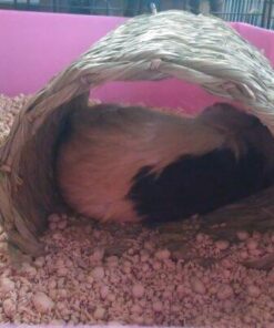 Oxbow Animal Health Timothy Hay Tunnel 23 51gOJkmMoWL