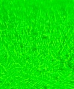 Fairhaven Health Fertile Focus Ovulation Test Kit - Women's Fertility Tracker and Predictor - 3 Days in Advance - Ovulation Kit - Accurate, Reusable Home Saliva Test - Results in Five Minutes 48 51gbwYovJSL