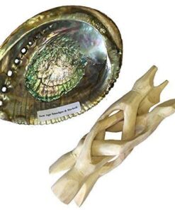 Alternative view of New Age Smudges & Herbs® 5 - 6 inches Premium Natural Abalone Shell &Wooden Stand~ Smudging, Cleansing Home, Meditation, Incense Holder, Home Décor, 100% Natural & Sustainable.