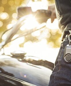 Chamberlain Group MC100-P Universal Garage Door Opener Mini Keychain Remote, Small, Black 24 51htqFLEJpL