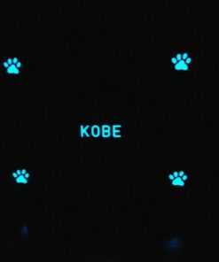 Glow in The Dark Pigment Powder - Neutral and Fluorescent Color for Art Painting, Fine Art, Nail Art Paint, Crafts - Non-Toxic, Long Lasting 10+ Color Options - Neutral Sky Blue (60 Grams) 60 Grams 49 51iHSQ3YBL