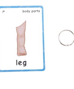 FieldDream 36Pcs/Set Body Parts Child Flash Cards Learning Toys English Baby Card Kids Gifts Pre-Kindergarten with Ring 13 51iOGvPfNXL