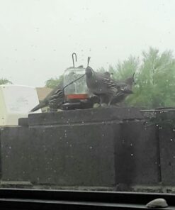 Gray Bunny Ground Bird Feeder Tray, Metal Platform Bird Feeder Dish Size 7 x 7 Inches, Durable Rust Resistant Feeder for Wild Birds, Squirrels, Doves, Cardinals 1 Pack (7x7 inches) 32 51iOIfBhyWL