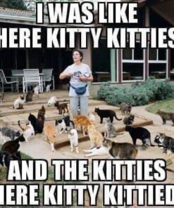 Blue Buffalo Tastefuls Indoor Natural Adult Dry Cat Food, Chicken 15lb bag Chicken & Brown Rice 15 Pound (Pack of 1) 44 51izBkKvuIL 1