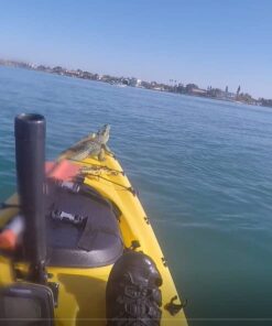 Booms Fishing MA1 Kayak Pad Eye Tri-Grip Rivet Kit, Black Pad Eye with Rivets, 12 sets 36 51j1MmvW3gL