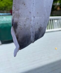 Perfect Pools Pool Spa Jacuzzi Pond Mini Jet Vac Vacuum Cleaner w/ Brush, Bag, and 4' Pole 49 51j9n T0rGL