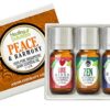 Peace & Harmony Blends Set 100% Pure, Best Therapeutic Grade Essential Oil Kit - 3/10mL (Love, Hope, and Zen) Peace and Harmony Set 3 Piece Assortment 28 51jJxMdnFWL