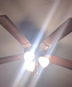 Philips LED Dimmable Frosted Light Bulb 8 Count (Pack of 1) 14 51jUHMYuwL