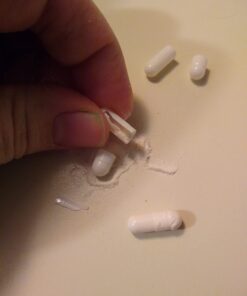 Nutramax Proviable Digestive Health Supplement Multi-Strain Probiotics and Prebiotics for Cats and Dogs - with 7 Strains of Bacteria, 80 Capsules 80 Count 40 51jtMXpx1LL