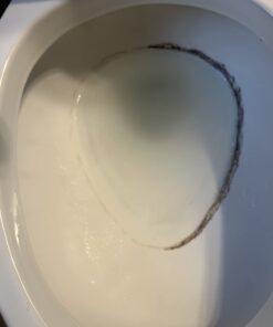 Powerstone Pumice Stone Toilet Bowl Cleaner with Handle (1-pack) - A Solution for Hard Water Stains on Toilets, Grills, Tiles, Grout & Pools Pack of 1 46 51k8eVqBR L