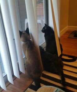 Ogrmar Hanging Gazebo Wild Bird Feeder -Perfect for Garden Decoration and Bird Watching for Bird Lover and Kids (Green) 35 51kE3TA3L9L