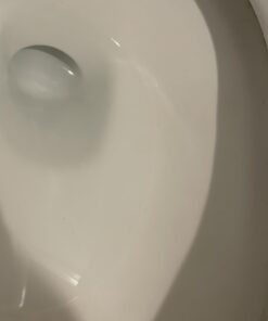 Powerstone Pumice Stone Toilet Bowl Cleaner with Handle (1-pack) - A Solution for Hard Water Stains on Toilets, Grills, Tiles, Grout & Pools Pack of 1 41 51kHbDpdf1L