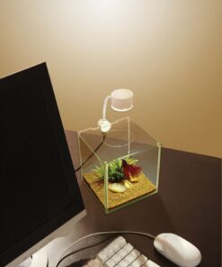 Marina CUBUS Glass Betta Kit – Elegant Glass Aquarium for Homes or Offices 30 51kOPBByIiL