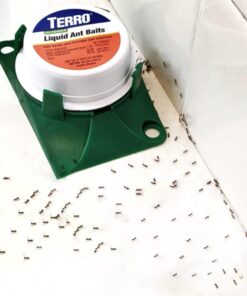 Terro 1806 Outdoor Liquid Ant Baits, 1.0 fl. oz. - 6 count 34 51kW zUZGWL