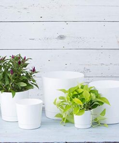 Novelty Majestic Full Depth Round Cylinder Pot, Glossy White, 6-Inch (10062) 23 51kc4WmqJKL