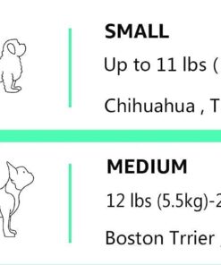 Amazon Basics - 2-Door Top-Load Hard-Sided Dogs, Cats Pet Travel Carrier, Gray & Blue, 22.8"L x 15.0"W x 13.0"H Two-Door Top-Load 49 51l0w4S4cL