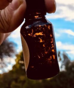 Vivaplex 24, Amber, 15 ml (1/2 oz) Glass Bottles, with Glass Eye Droppers 39 51l562A9ZpL