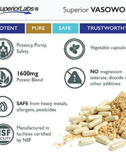 Superior Labs – VASOWORx® – Nitric Oxide Supplement – Extra Strength - 1,600 mg, 180 Vegetable Capsules – 7 Powerful Ingredients – Increased Energy, Stamina, & Circulatory Support 20 51l9Hx2O6yL