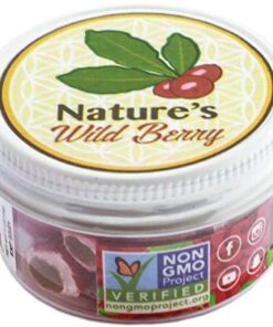 The Travel Jar, Miracle Berry As Seen On TV & Tiktok, Premium Ledidi Fruit By Nature's Wild Berry, Turn Sour Sweet With Flavor Changing Berries aka "Magic Berries" 1 Ounce (Pack of 1) 22 51lQE8gUboL 1