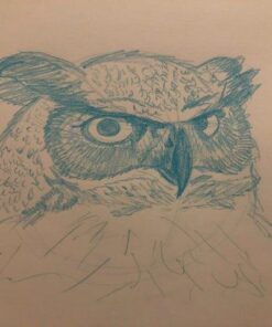 Prismacolor Col-Erase Erasable Colored Pencil, 12-Count, Blue (20044) 27 51lnGvmVp7L