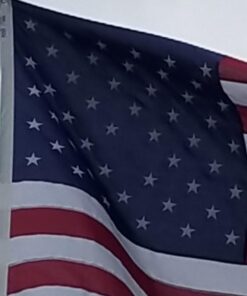 Annin Flagmakers Model 2730 American Flag Tough-Tex Polyester Flag, 5 x 8 Feet 5x8 ft. 30 51lrgWzPbNL