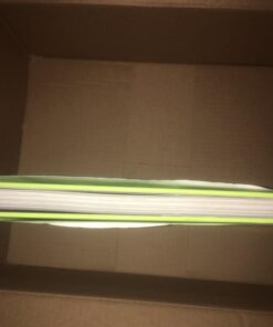 The Art of Zootopia (Disney) 19 51lvAVX6SWL