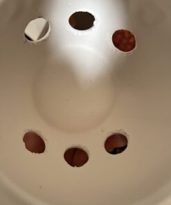 Fox Run Container Garlic Storage and Baking, 5.25" Keeper, White 22 51lzE0gj9eL