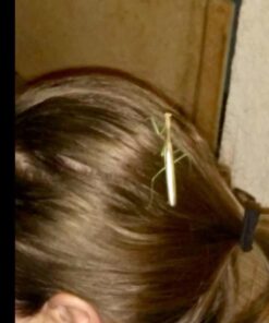 L'Oreal Paris Superior Preference Fade-Defying + Shine Permanent Hair Color, 7LA Lightest Auburn, Pack of 1, Hair Dye 1 Count (Pack of 1) 36 51mJhCnnTL