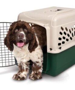 Petmate Ruffmaxx Dog Kennel Pet Carrier & Crate 28" (20-30 Lb), Outdoor and Indoor for Large, Medium, and Small Dogs - Made from Durable Recycled Material w/ 360-Degree Ventilation, Made in USA Almond & Green 28.0"L x 21.5"W x 20.5"H 11 51mKjeMSDZL