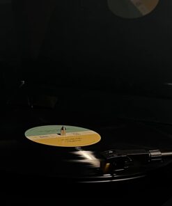 Fluance RT80 Classic High Fidelity Vinyl Turntable Record Player with Audio Technica AT91 Cartridge, Belt Drive, Built-in Preamp, Adjustable Counterweight, Solid Wood Plinth - Piano Black 38 51mM7FHbahL