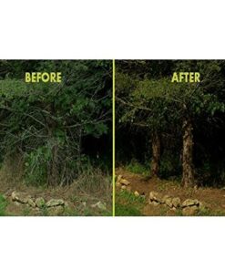 Sun Joe SWJ800E 8-Inch 6.5-Amp Telescoping Electric Pole Chain Saw with Automatic Chain Lubrication System Pole Saw 8-Inch Bar/Chain 8.7' Max. Extension 32 51msO9KwF0L