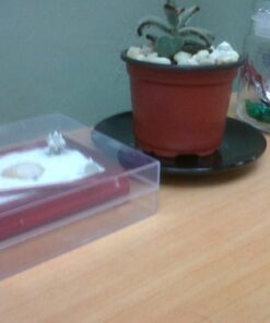 Toysmith Mini Zen Garden - Colors May Vary 1 27 51msfLot3ZL