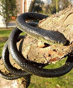 Yoogeer 47 Inches Rubber Lifelike Snakes Scary Gag Gift Incredible Creatures Chain Snakes Rain Forest Snake Toys Wild Life Snakes 14 51mtTfRUJL